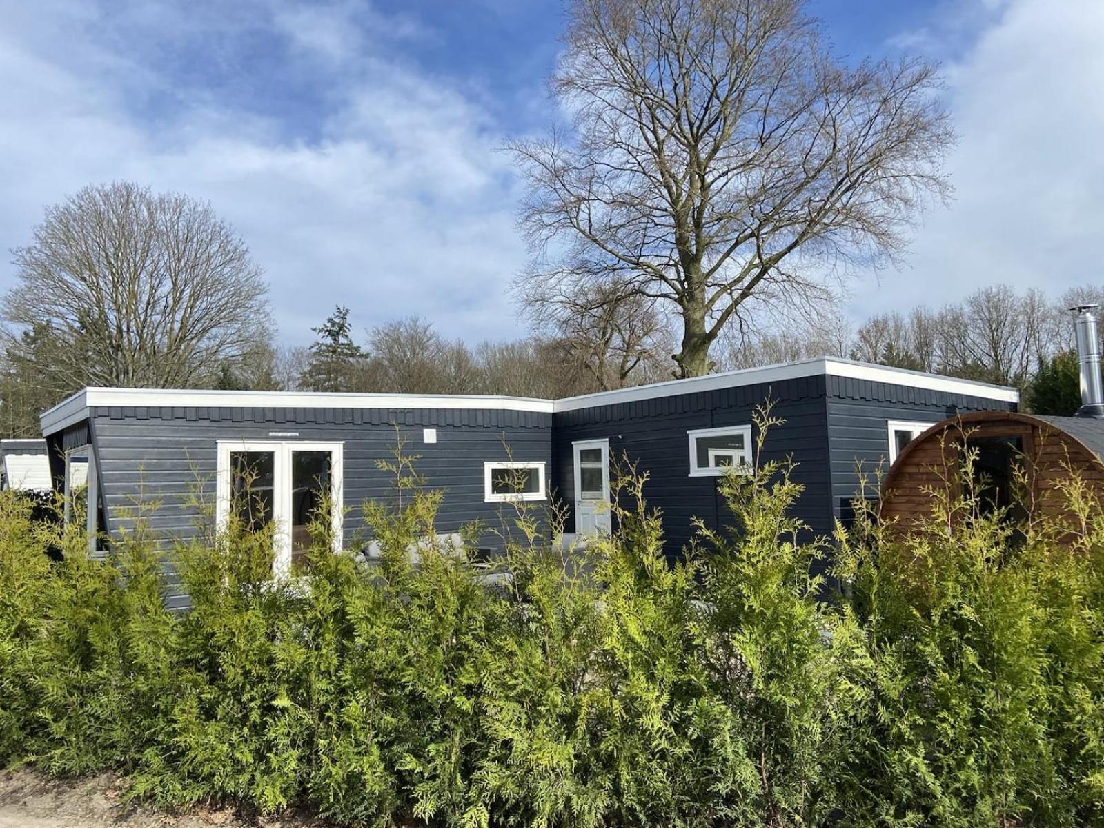 Veluwe Vakanties: Chalet Retreat with Private Sauna in National Park Putten Exterior photo